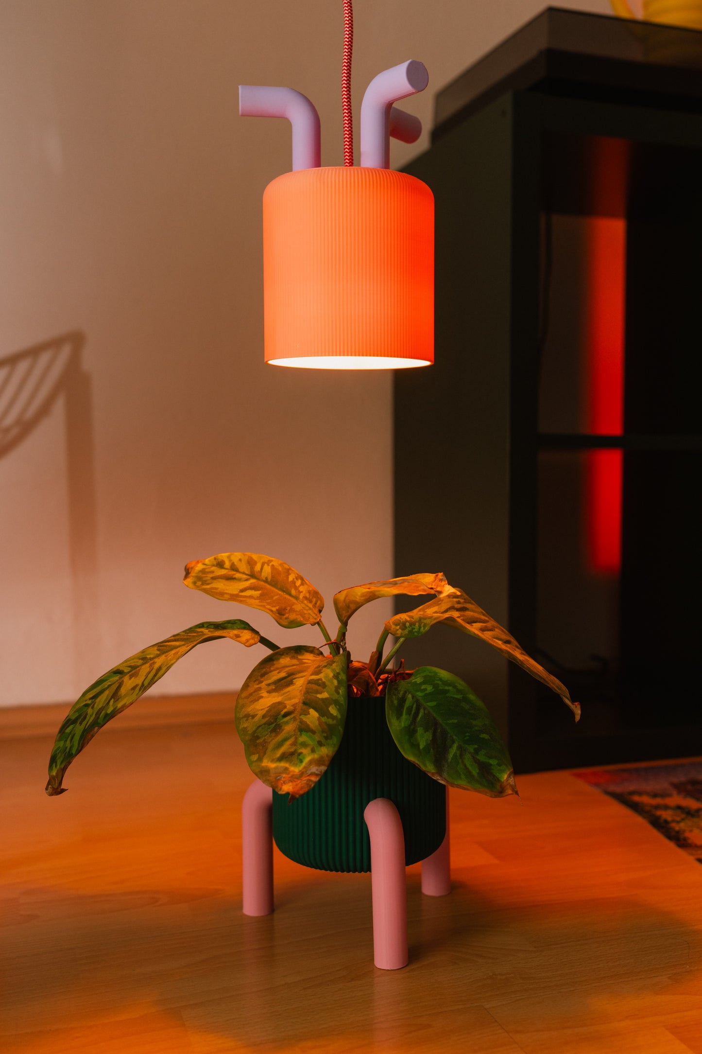 4) Květináček roztomilý - vroubkovaný (Větší verze)