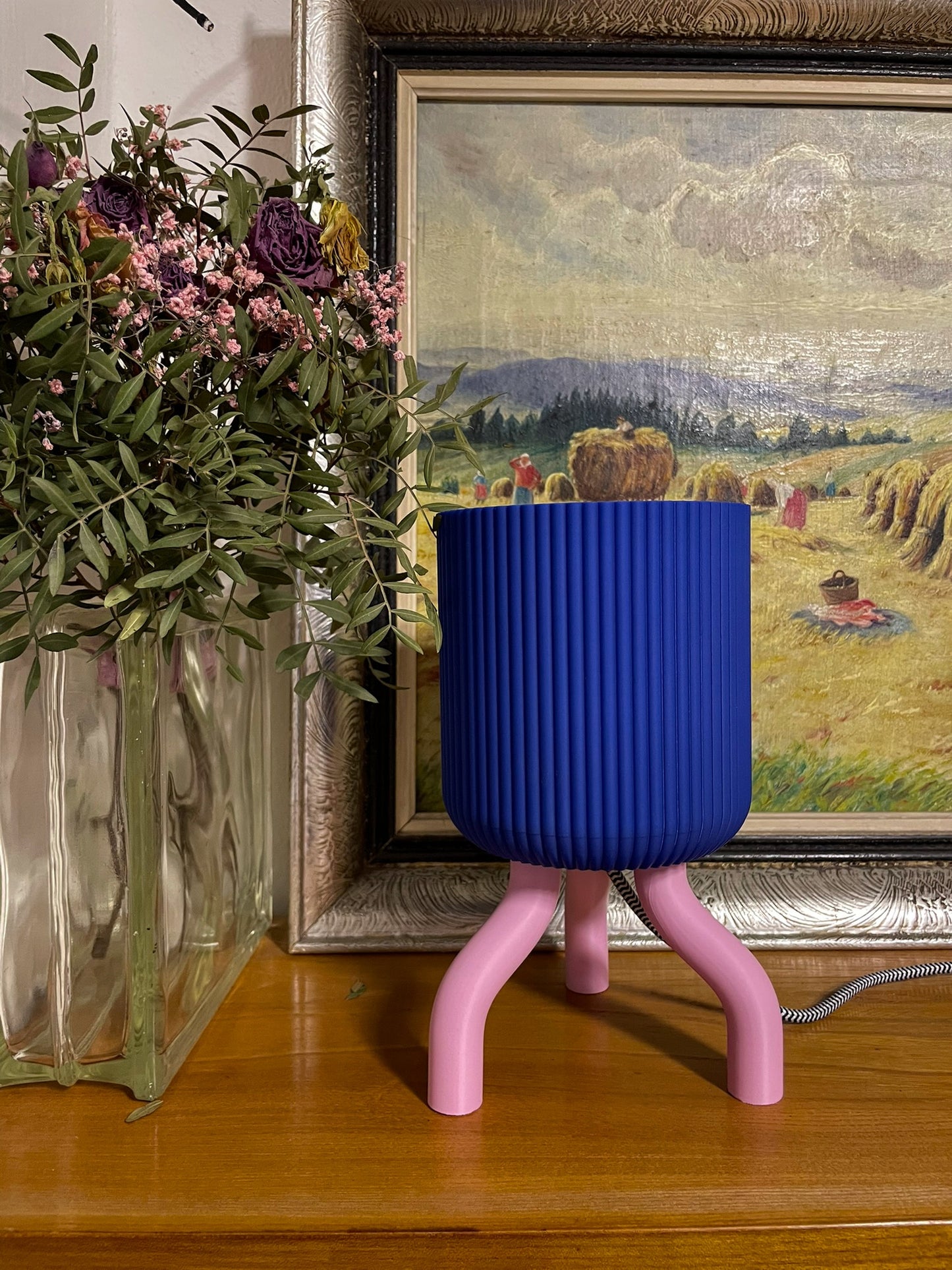 Lampička chobotnička