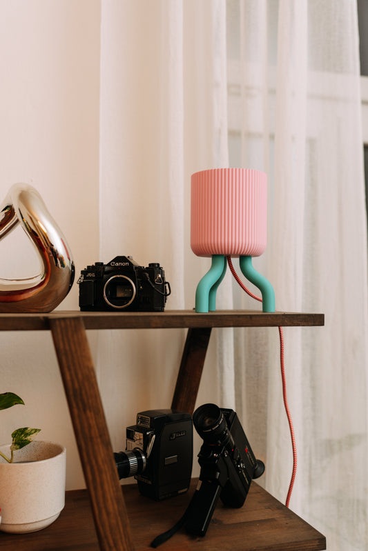 Lampička chobotnička